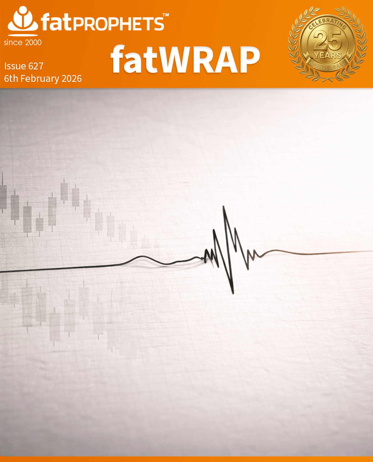 FatWRAP 626 Cover